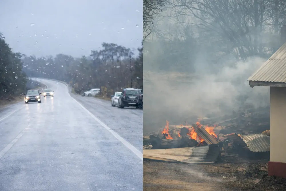 ChatGPT Image 11 ene 2026, 20_37_37